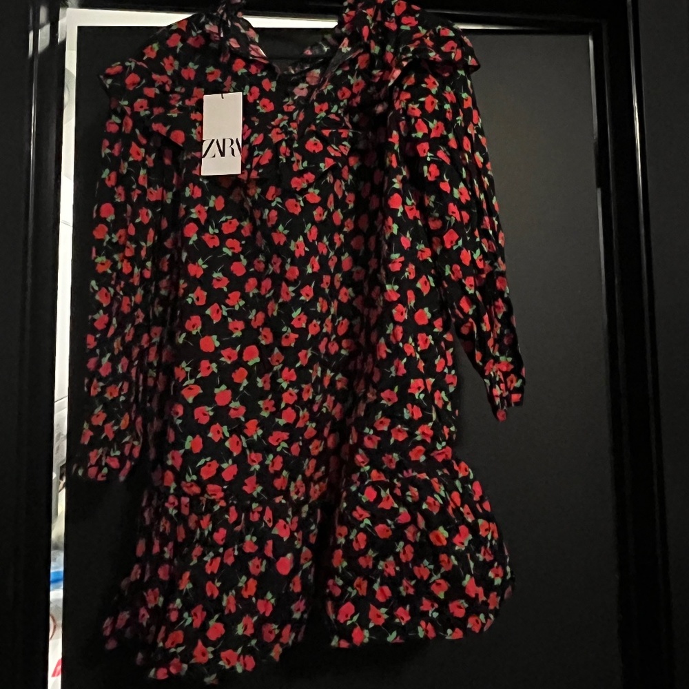 Fun Zara Dress